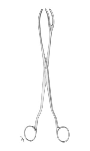Sterilizing Forceps